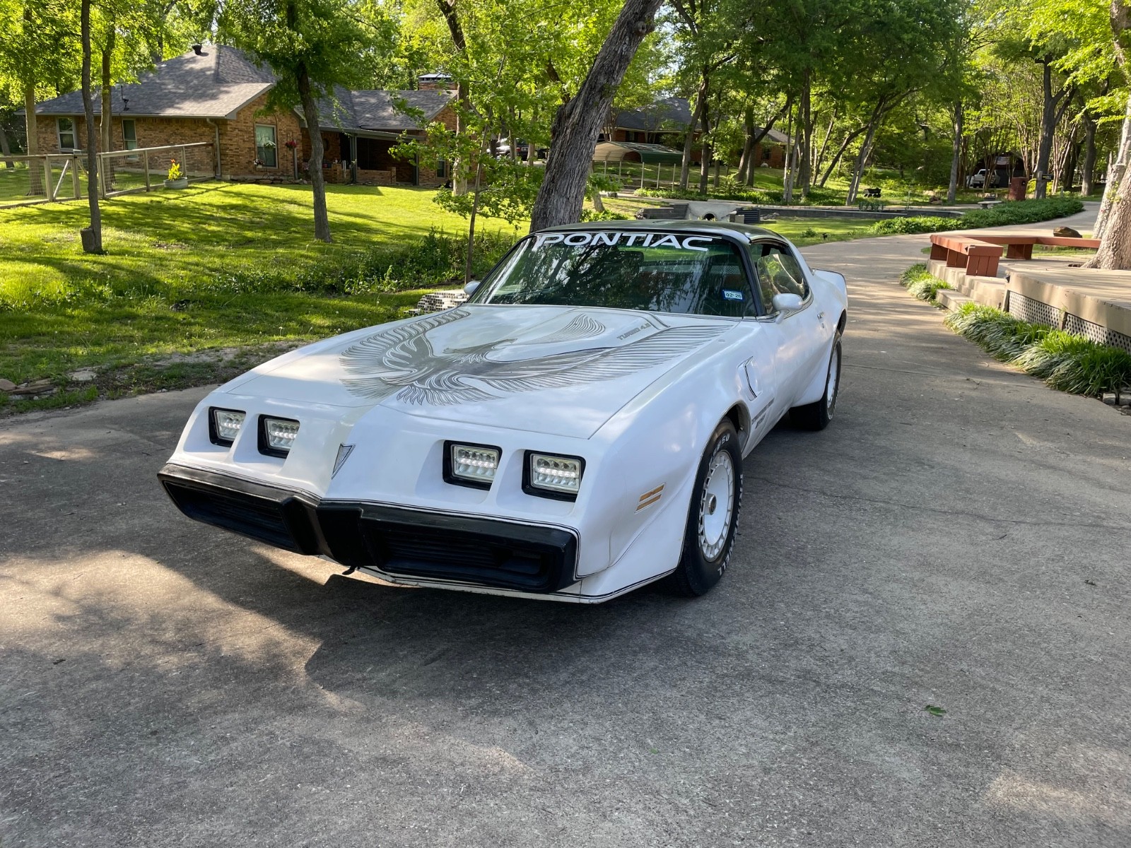 Pontiac Trans Am 1981 Coupe