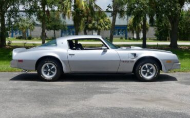 Pontiac-Trans-am-1976-Silver-Black-2