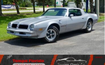 Pontiac-Trans-am-1976-Silver-Black-36