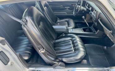 Pontiac-Trans-am-1976-Silver-Black-41