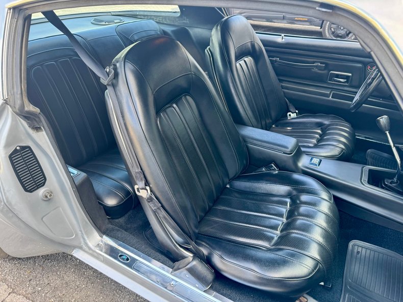 Pontiac-Trans-am-1976-Silver-Black-43
