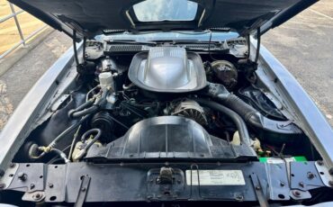 Pontiac-Trans-am-1976-Silver-Black-5