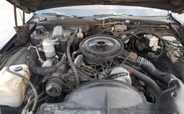 Pontiac-bonneville-1979-black-3
