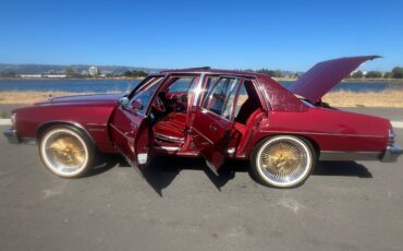 Pontiac-bonneville-1979-custom-12