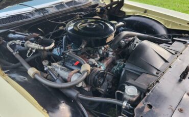 Pontiac-catalina-1969-yellow-9