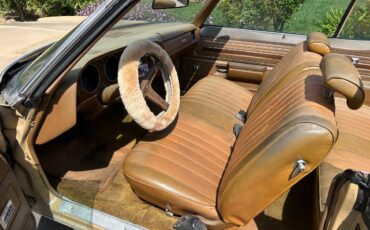 Pontiac-catalina-1972-brown-1
