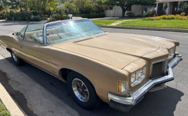 Pontiac-catalina-1972-brown-5