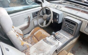 Pontiac-fiero-gt-pisa-artero-kit-car-1988-grey-19