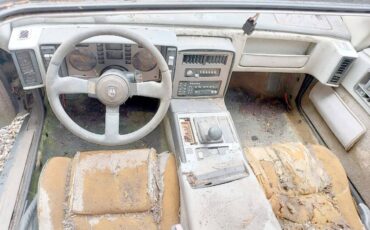 Pontiac-fiero-gt-pisa-artero-kit-car-1988-grey-9