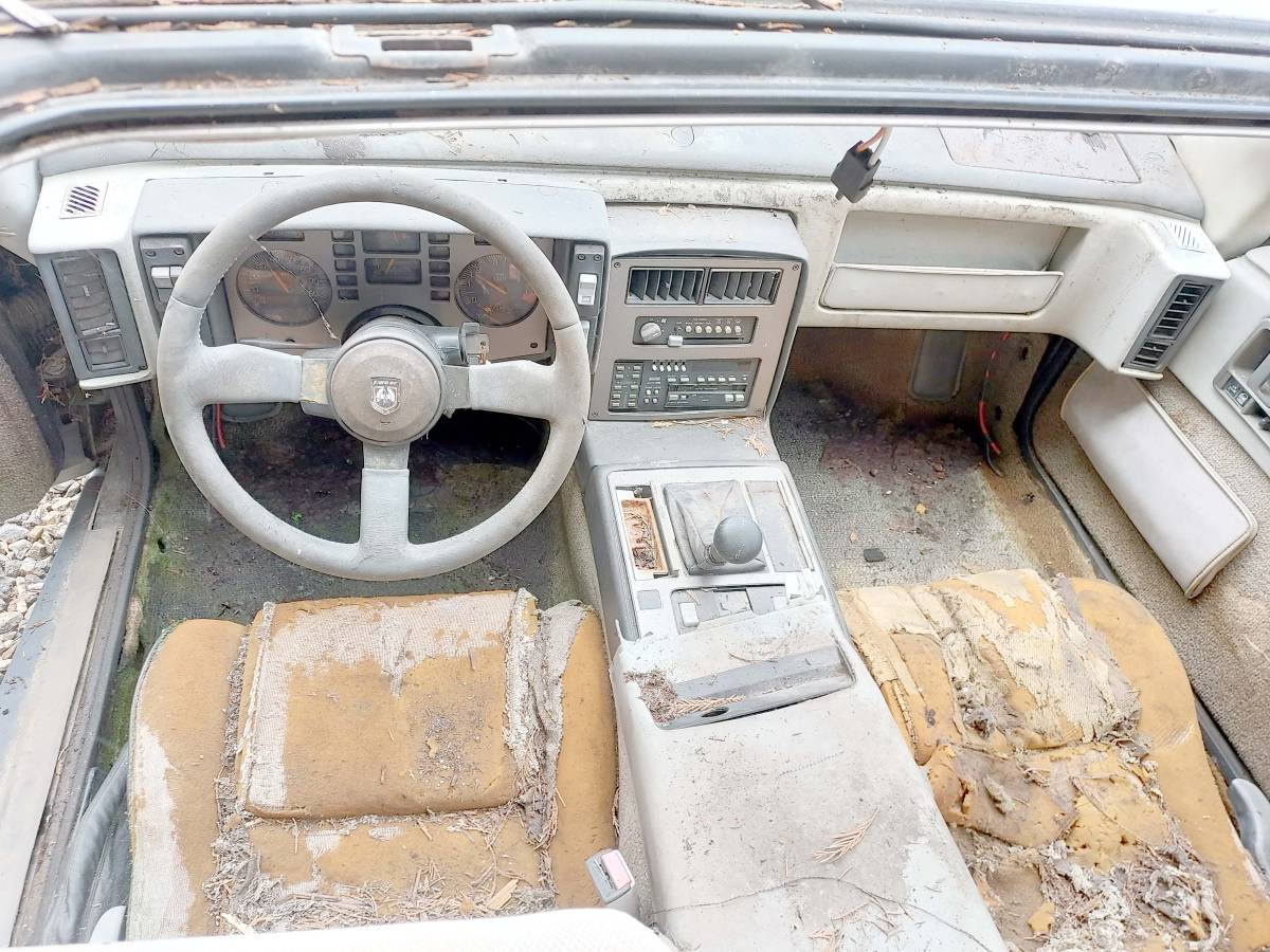 Pontiac-fiero-gt-pisa-artero-kit-car-1988-grey-9