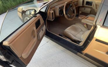 Pontiac-fiero-se-1987-4