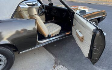 Pontiac-firebird-1969-brown-13
