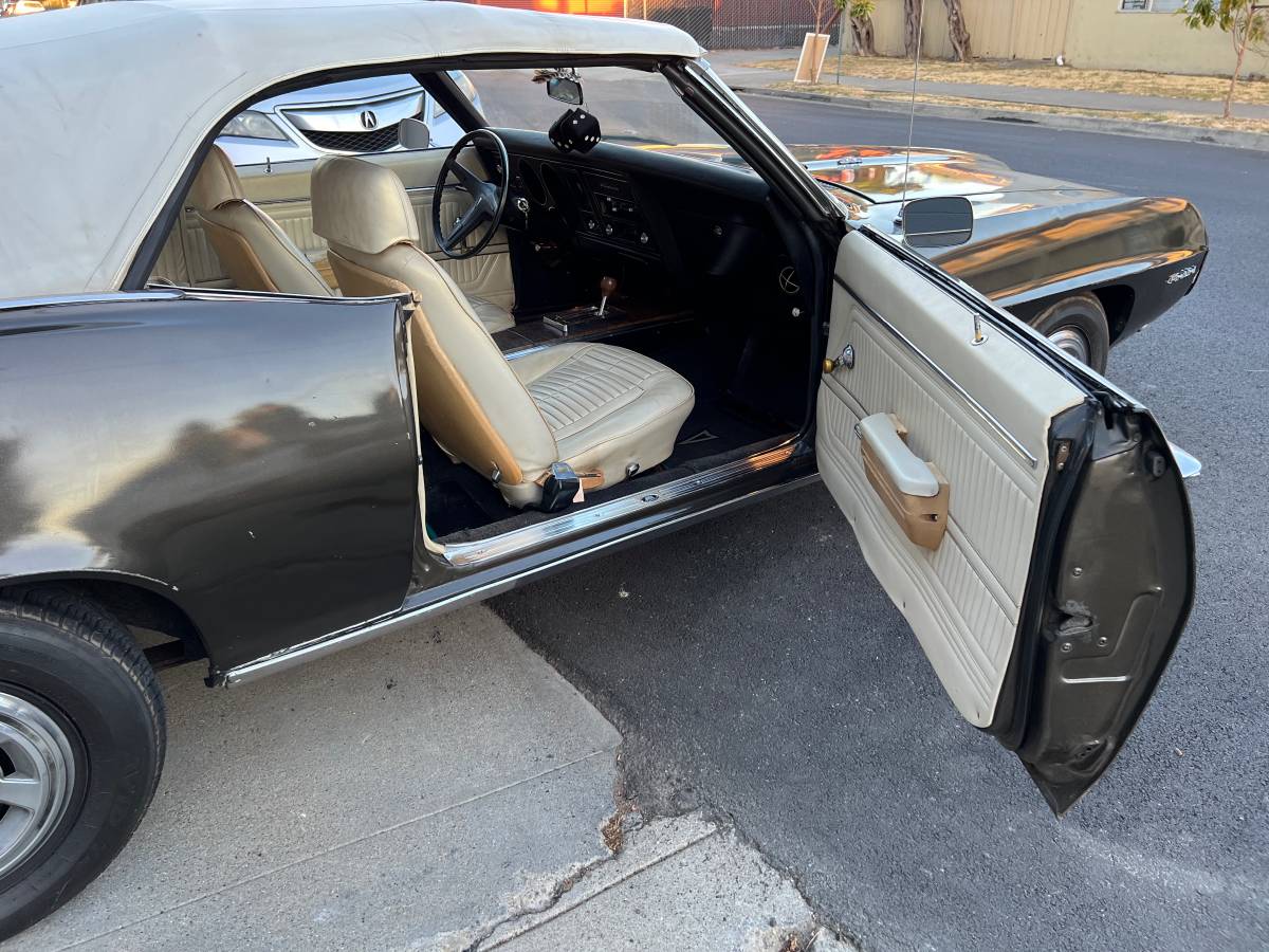 Pontiac-firebird-1969-brown-13