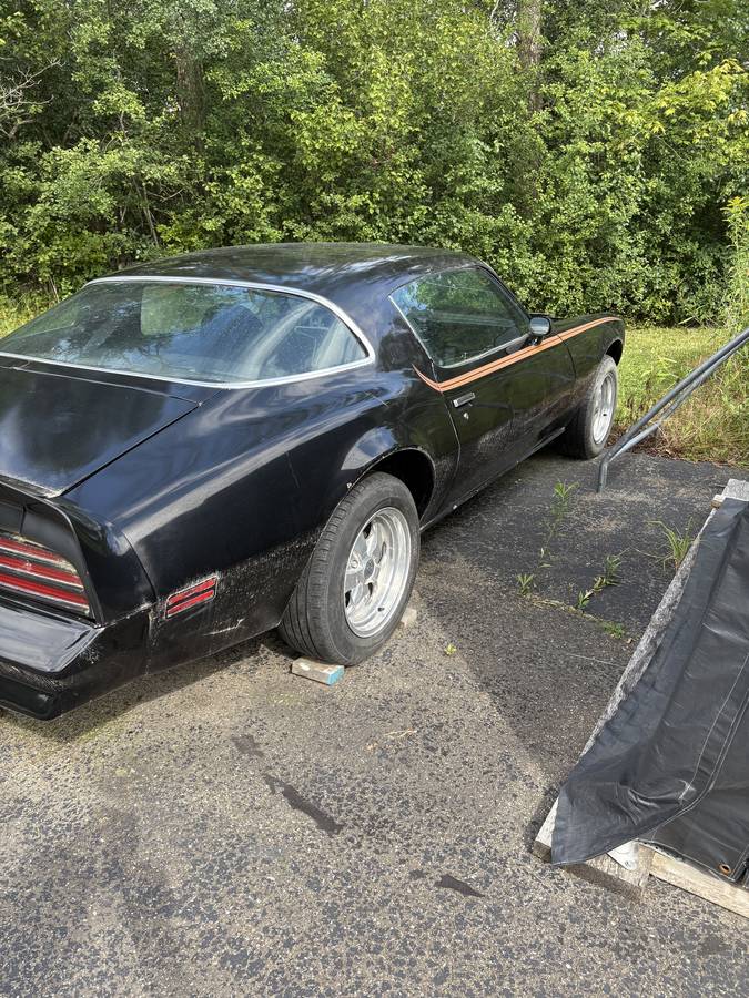 Pontiac-firebird-1976-black-2