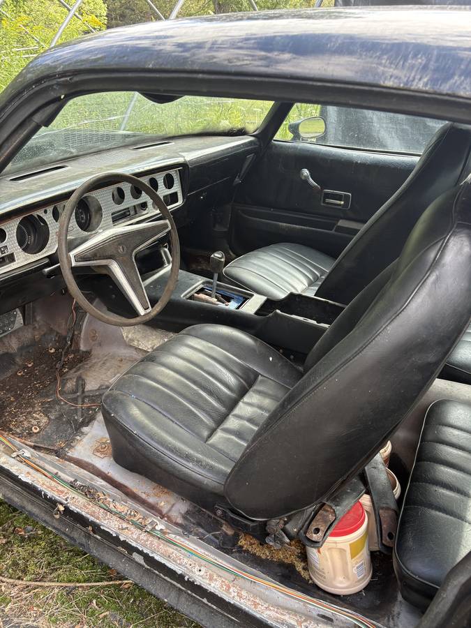 Pontiac-firebird-1976-black-4