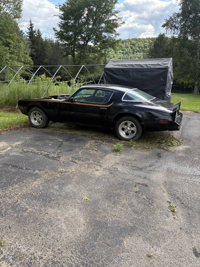 Pontiac-firebird-1976-black