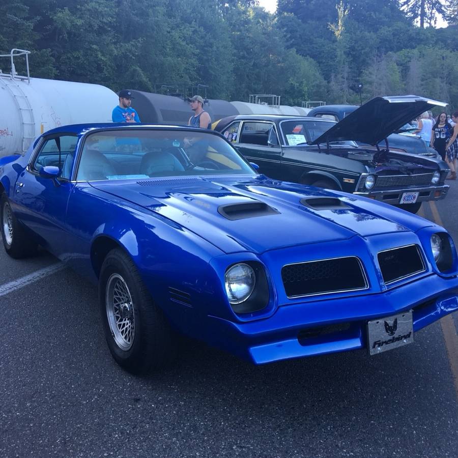 Pontiac-firebird-1976-blue-2