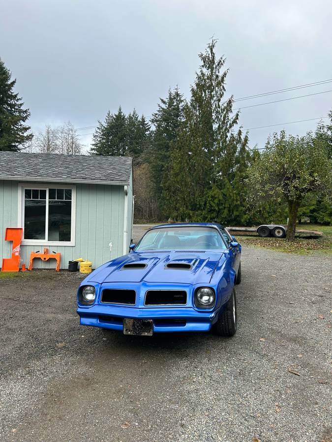 Pontiac-firebird-1976-blue-3