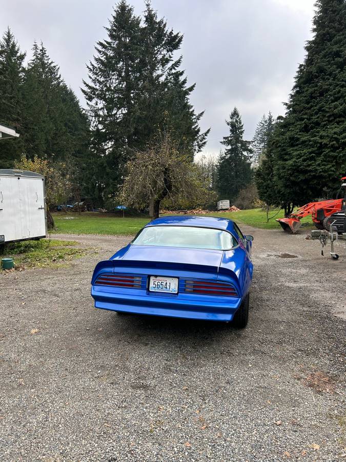 Pontiac-firebird-1976-blue-4