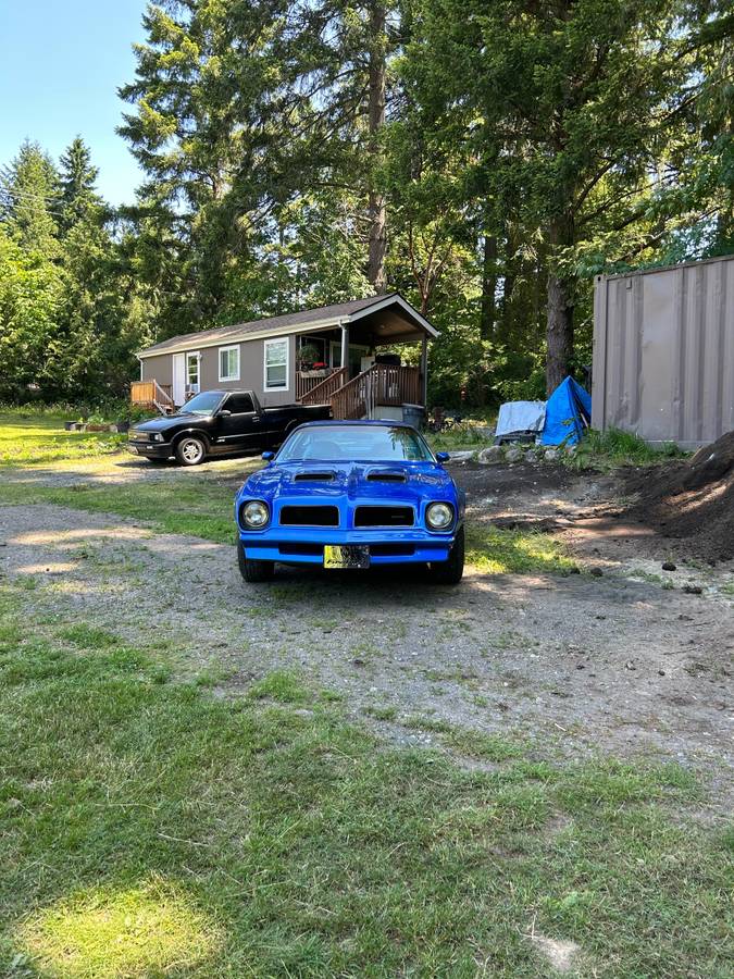 Pontiac-firebird-1976-blue-5