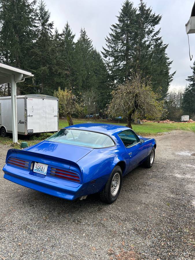 Pontiac-firebird-1976-blue