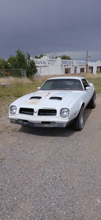 Pontiac-firebird-1976-white-1