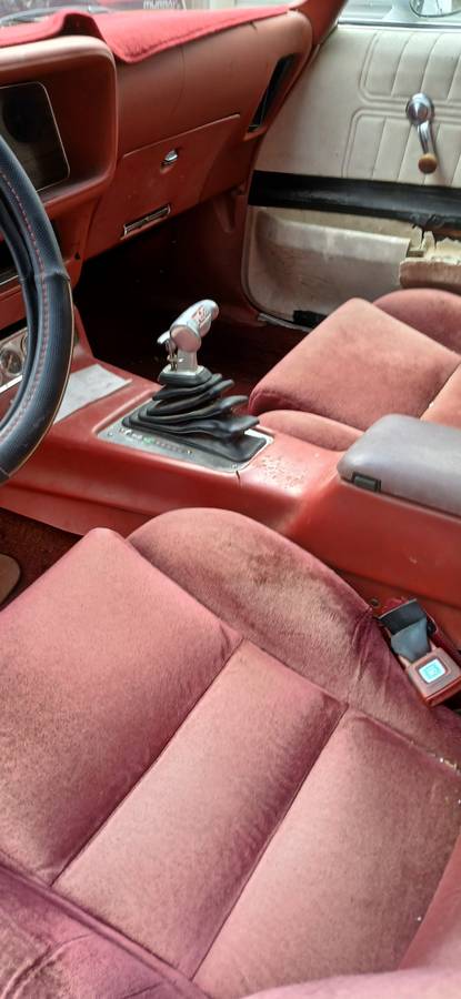 Pontiac-firebird-1976-white-10