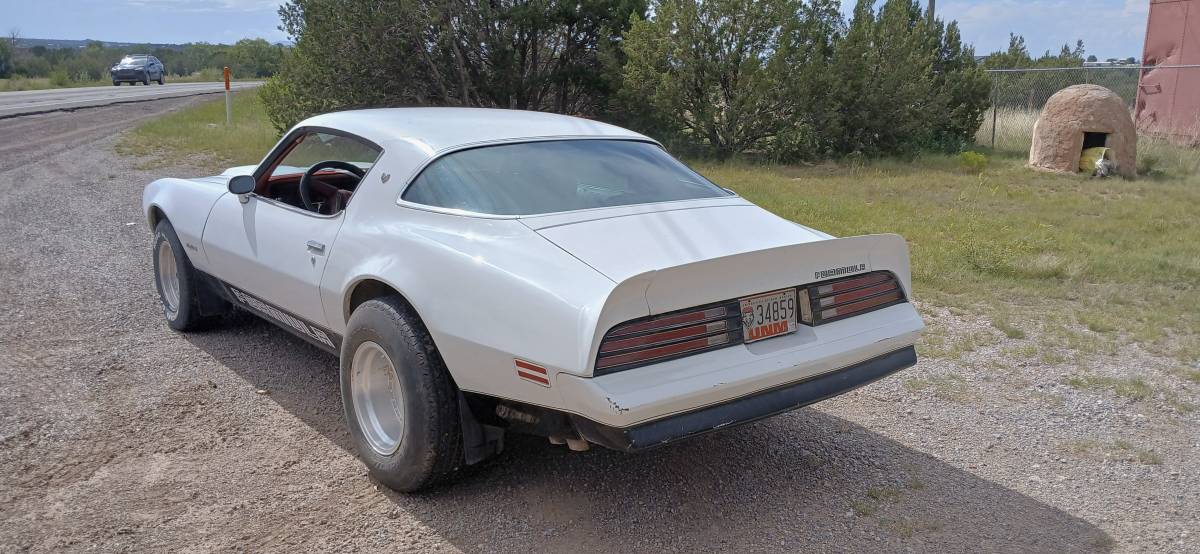 Pontiac-firebird-1976-white-4