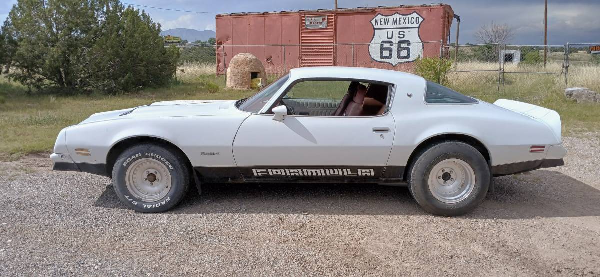 Pontiac-firebird-1976-white-7