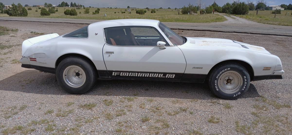 Pontiac-firebird-1976-white-8