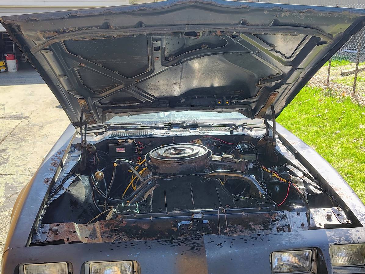 Pontiac-firebird-1980-black-1