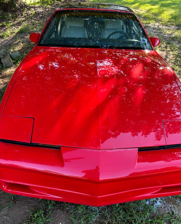 Pontiac-firebird-1991-3