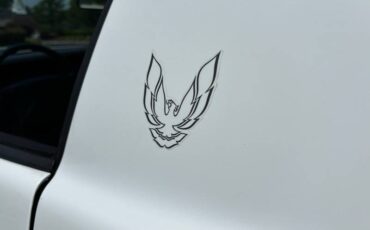 Pontiac-firebird-1991-white-12