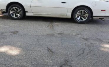 Pontiac-firebird-1991-white