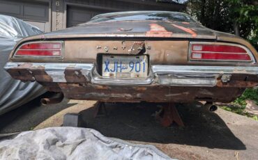 Pontiac-firebird-350-1970-brown-1