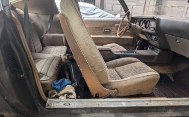 Pontiac-firebird-350-1970-brown-10