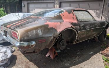 Pontiac-firebird-350-1970-brown-14