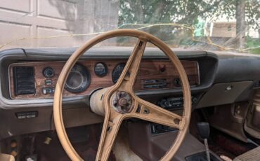 Pontiac-firebird-350-1970-brown-3