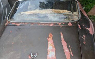 Pontiac-firebird-350-1970-brown-6