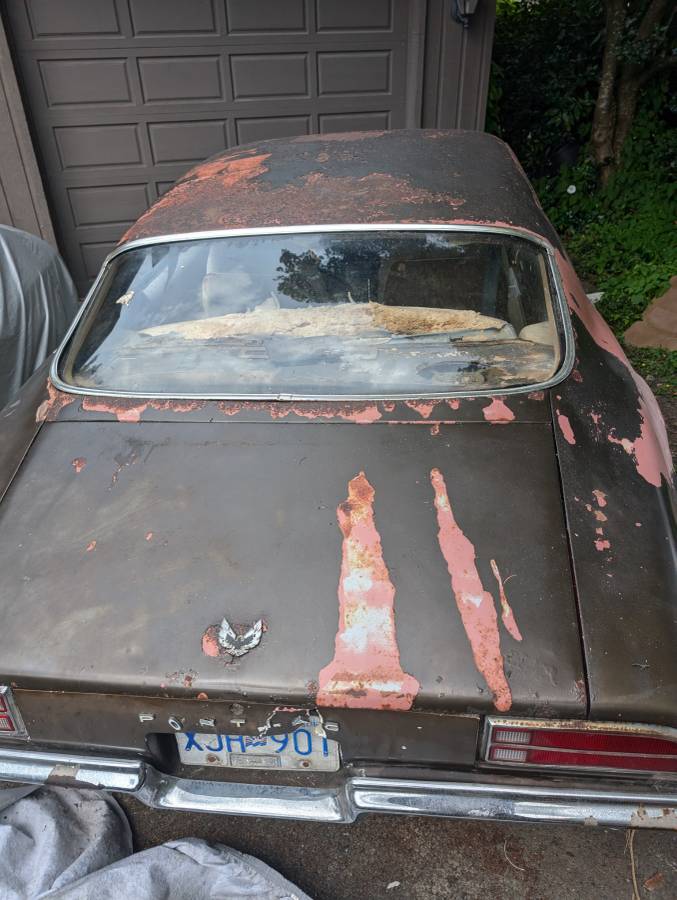 Pontiac-firebird-350-1970-brown-6