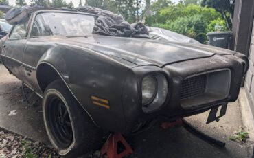 Pontiac-firebird-350-1970-brown-7