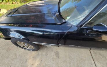 Pontiac-firebird-formula-1979-black-4