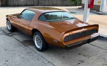 Pontiac-firebird-formula-1981-3