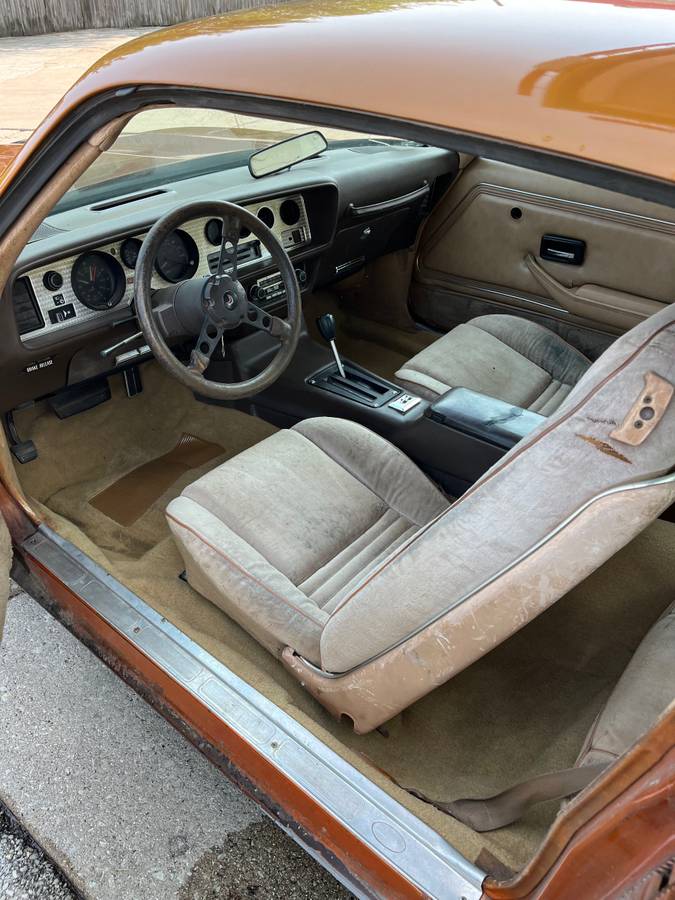 Pontiac-firebird-formula-1981-4
