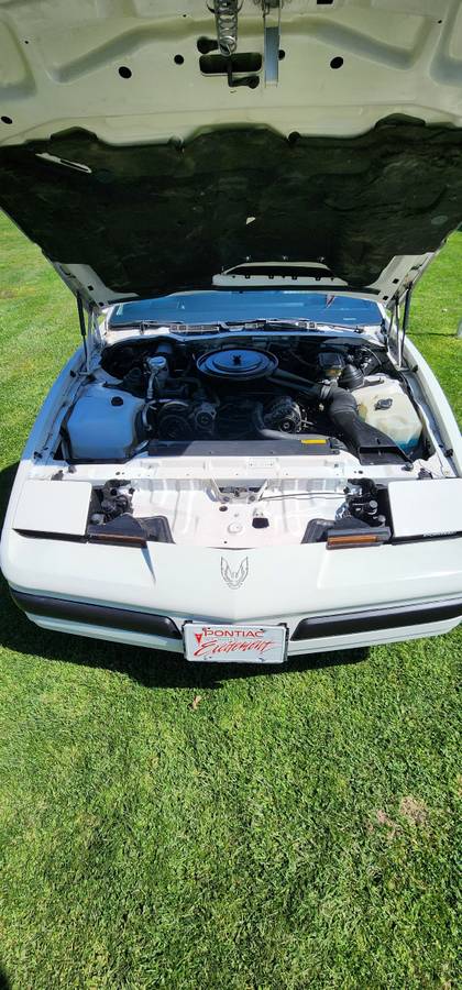 Pontiac-firebird-formula-1989-white-4