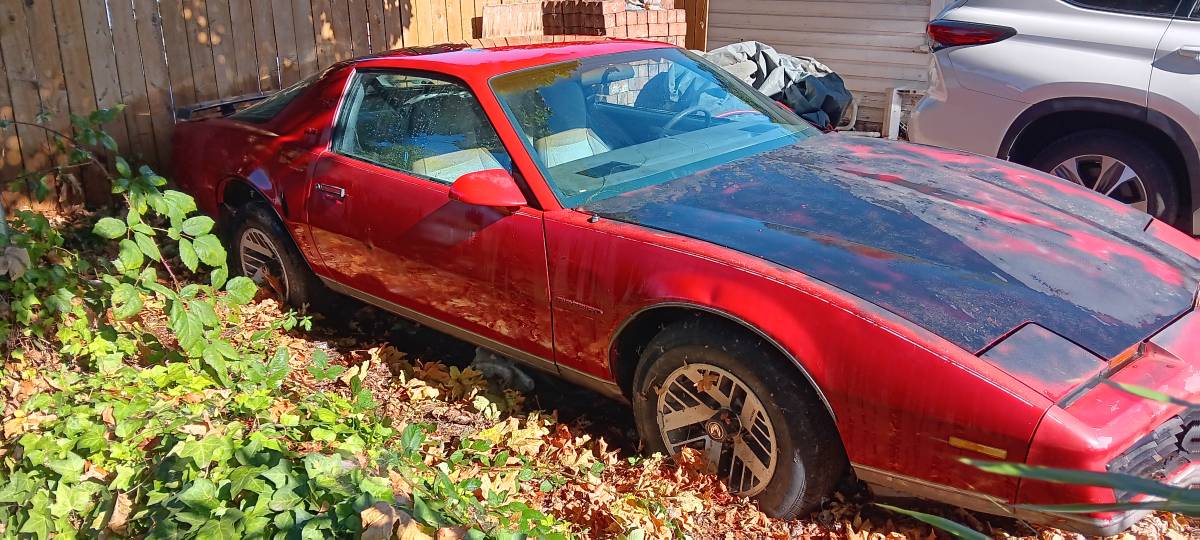 Pontiac-firebird-se-1984-red-2