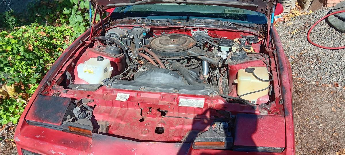 Pontiac-firebird-se-1984-red-5
