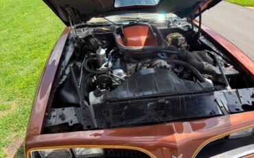 Pontiac-firebird-trans-am-1978-brown-1