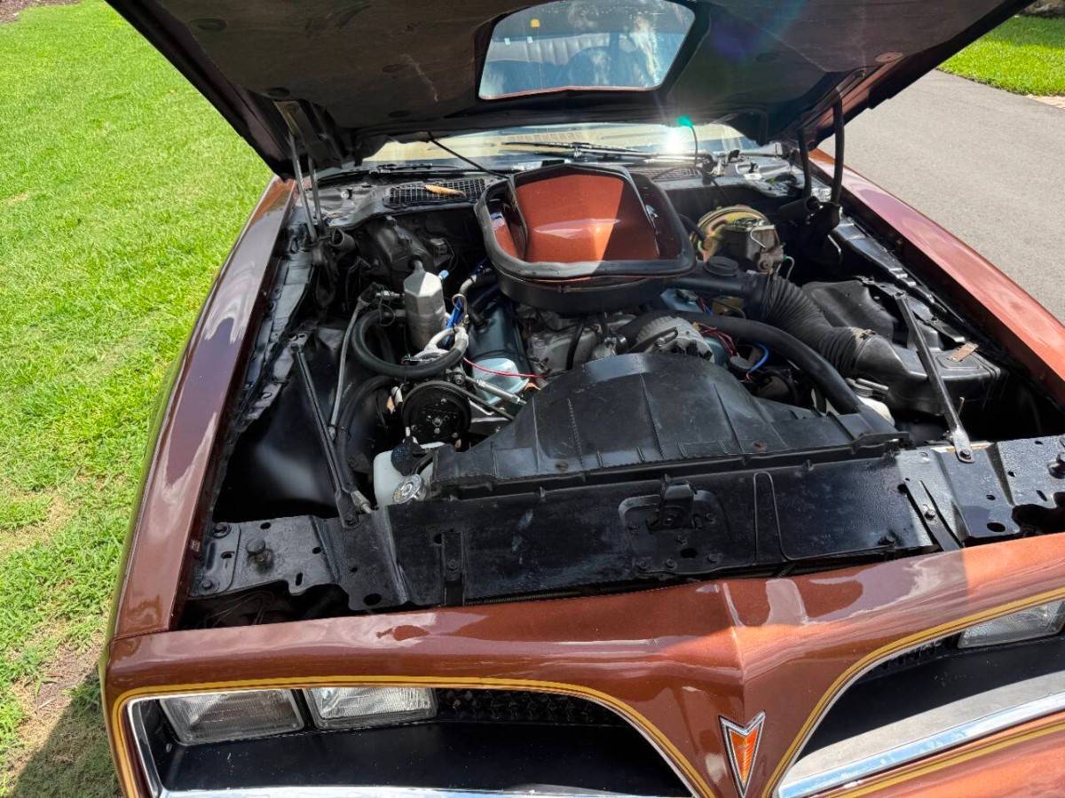 Pontiac-firebird-trans-am-1978-brown-1