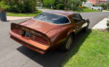 Pontiac-firebird-trans-am-1978-brown-10